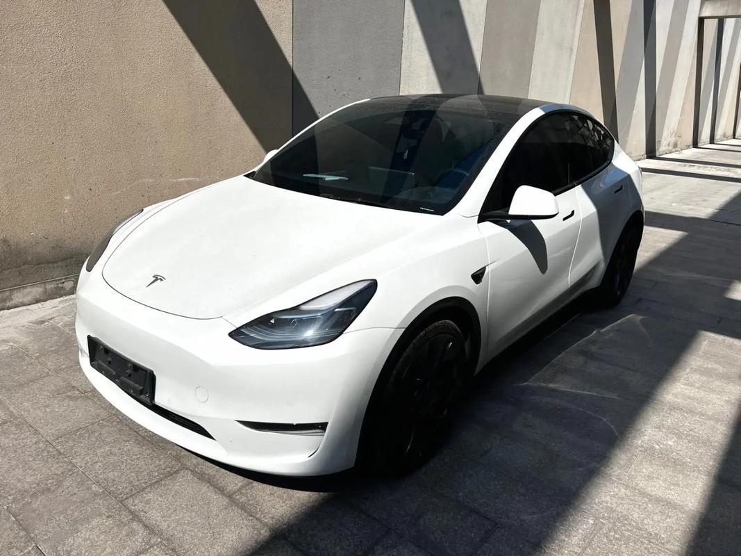 特斯拉3performance(特斯拉model y)