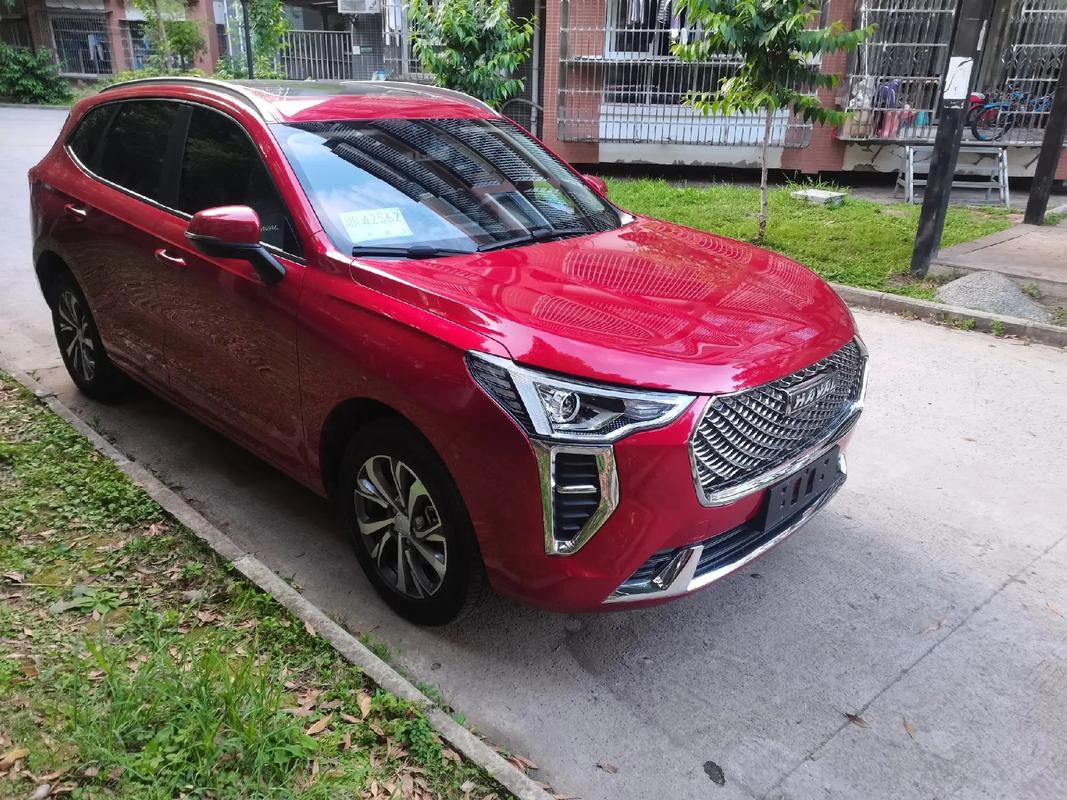 哈弗初恋2024款/哈弗初恋顶配落地