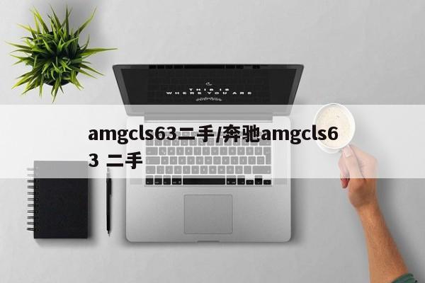 amgcls63二手/奔驰amgcls63 二手