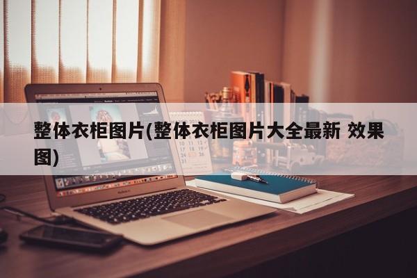 整体衣柜图片(整体衣柜图片大全最新 效果图)