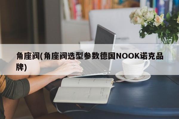 角座阀(角座阀选型参数德国NOOK诺克品牌)